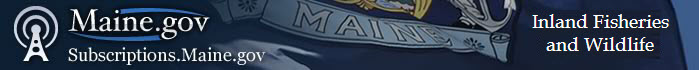 IF&W Banner